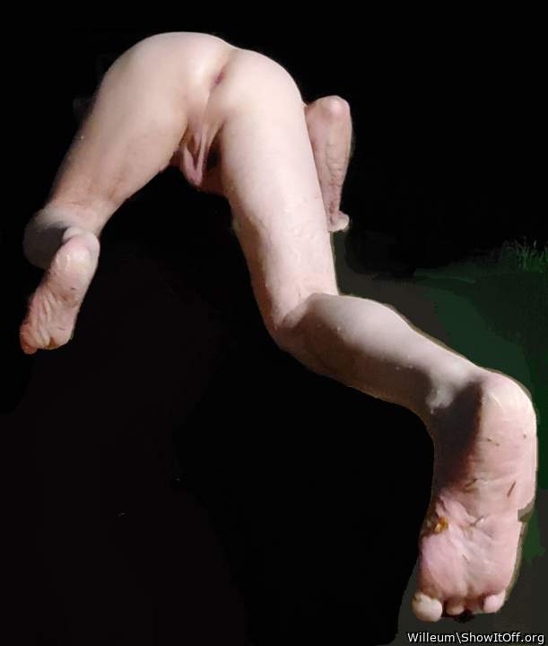 Adult image from Willeum