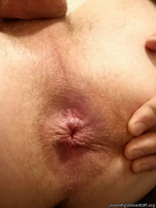 Adult image from OrsonPig