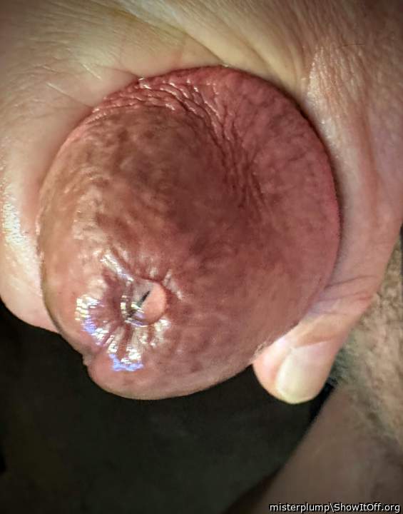 Adult image from misterplump