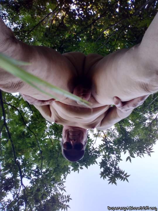 Things are looking up