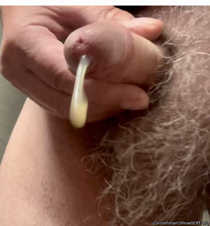 Adult image from Cornishman