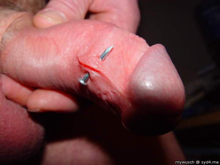 first piercing: frenum
