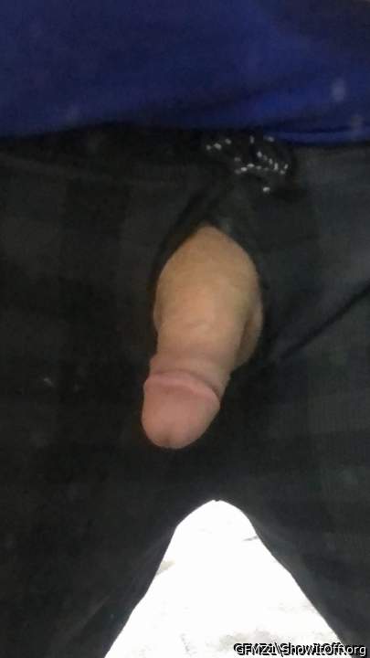 Adult image from GFMZ1