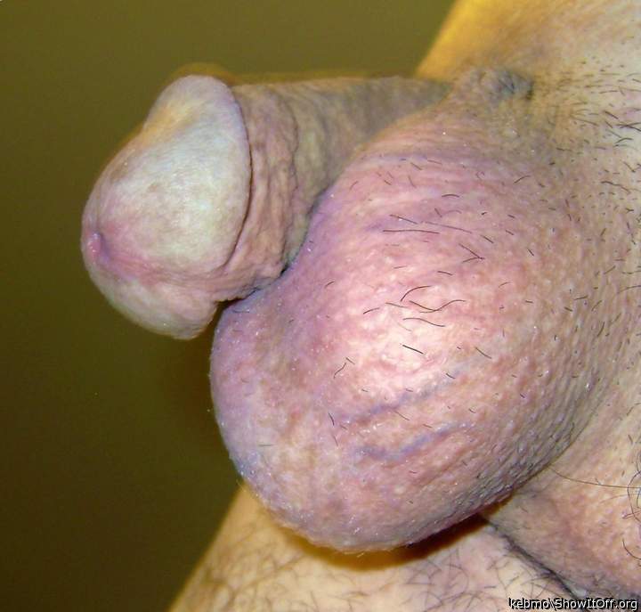 Tasty looking soft cock and balls!