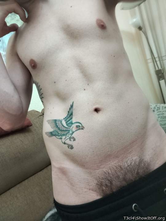 Adult image from T3cl4