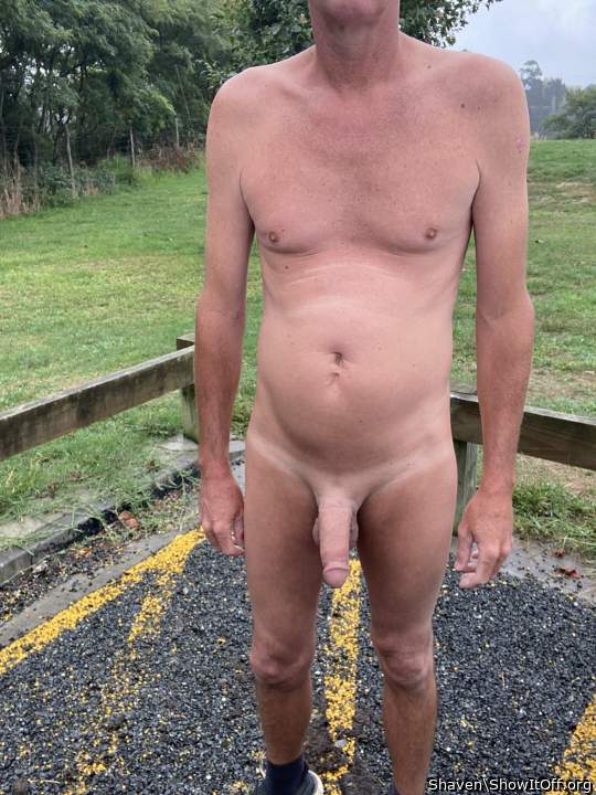 Adult image from Shaven