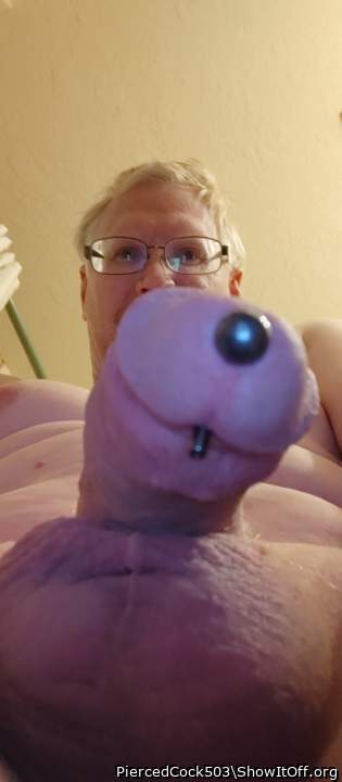 Adult image from PiercedCock503