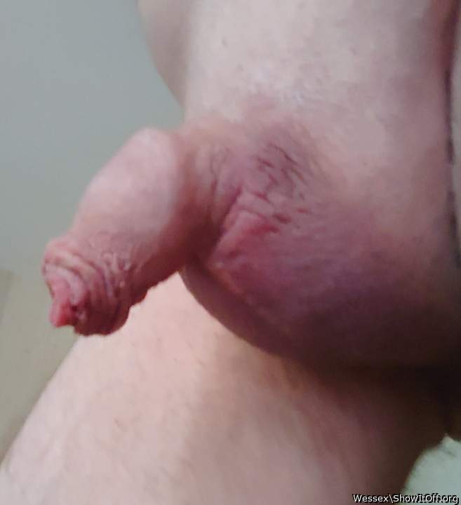 Adult image from Wessex