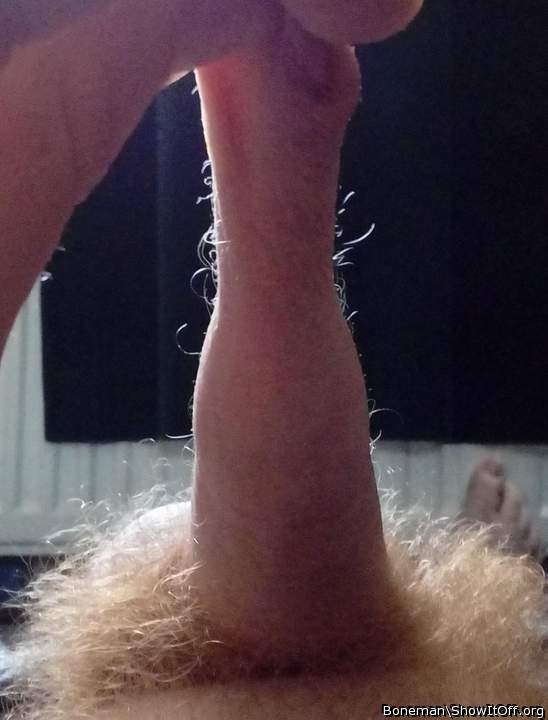 My Pubes And The Hairs Growing From My Foreskin