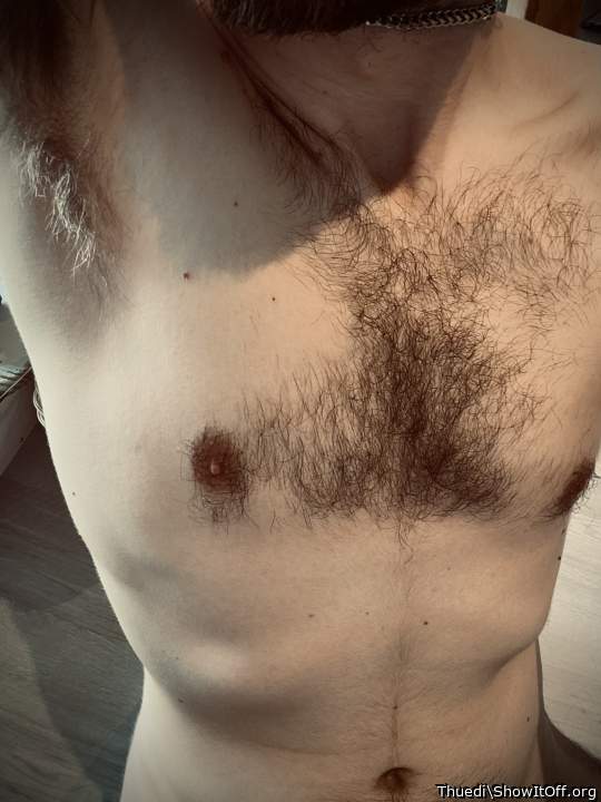 Great chest hair