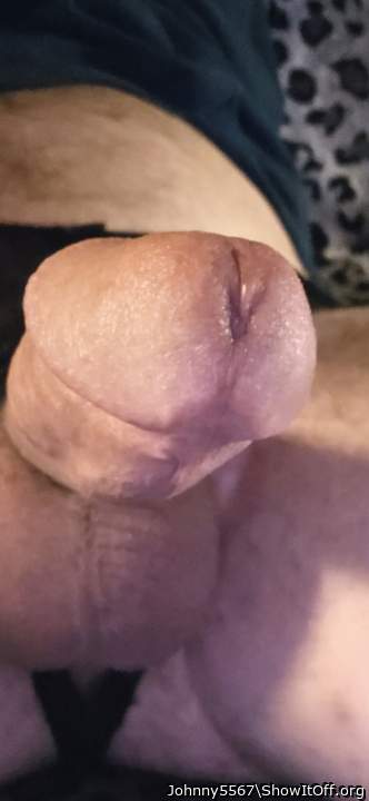 Adult image from Johnny5567