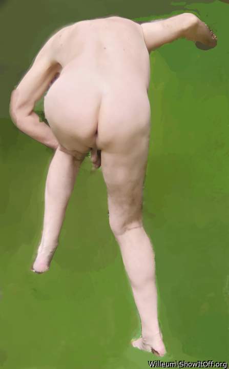 Adult image from Willeum