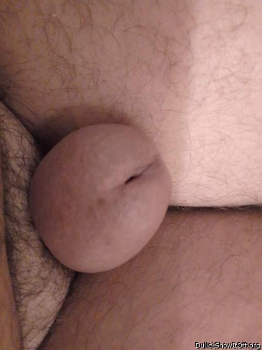 Adult image from Dulle