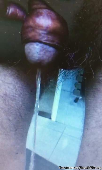 Adult image from Cornishman