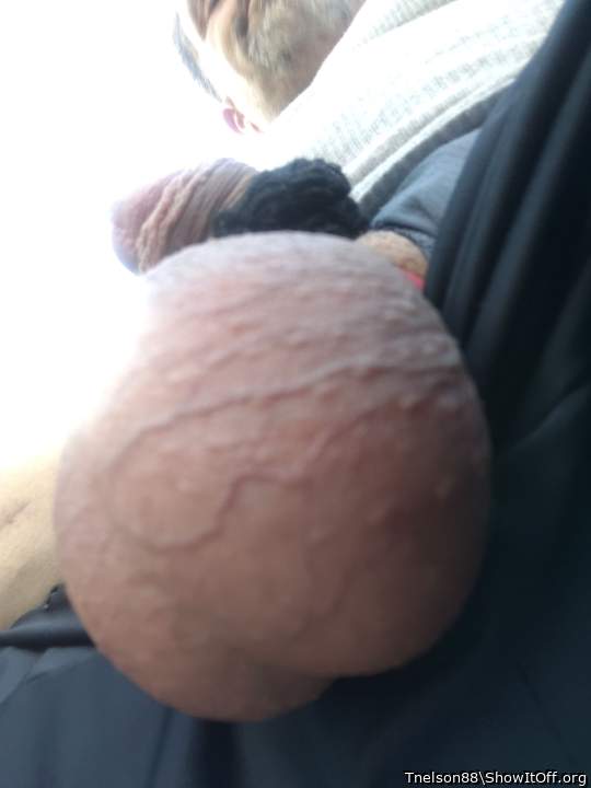Adult image from Tnelson88