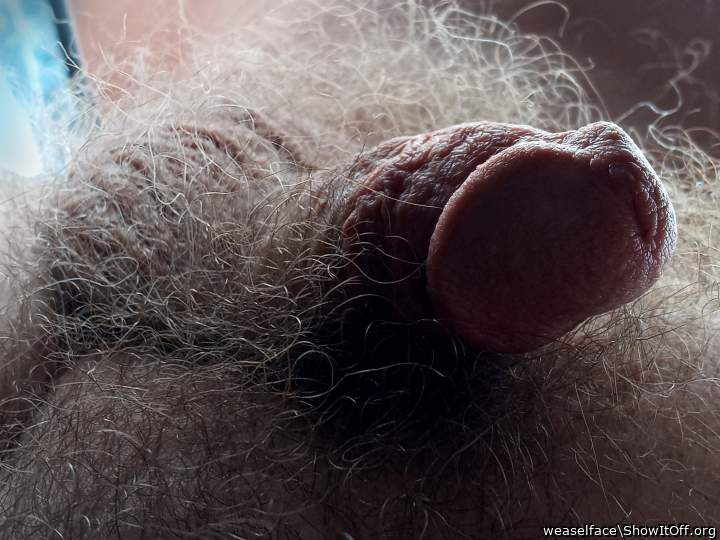 Adult image from weaselface