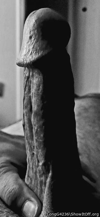 Adult image from LongG4236