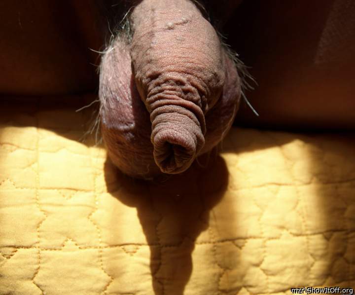 My Extra Long Foreskin Uncut Dick Close Up