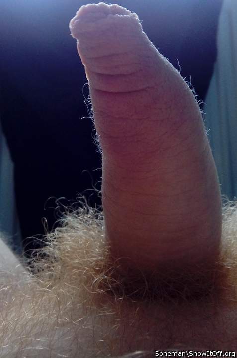 Hairy Willy