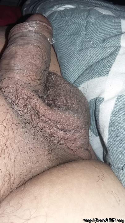 Morning wood2