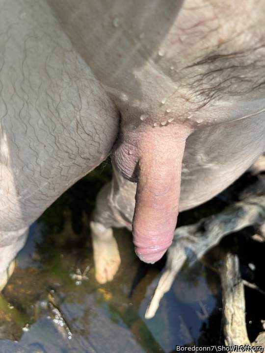 Adult image from Boredconn7
