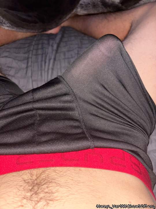 Adult image from Always_Hard69