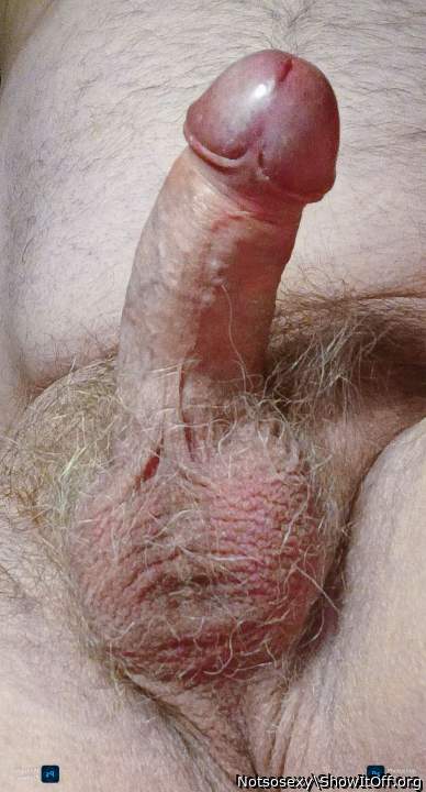Adult image from Notsosexy