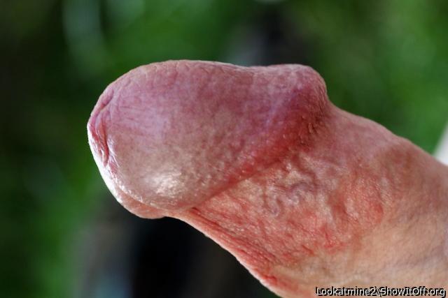 My Favorite Body Part No. 4