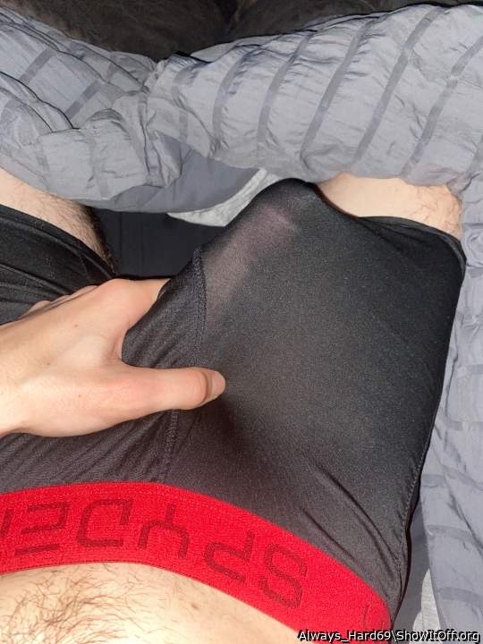 Adult image from Always_Hard69