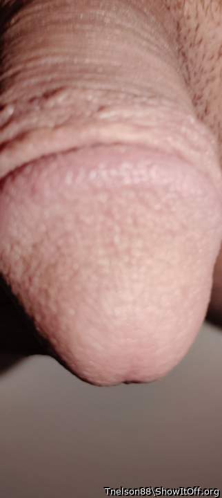 Adult image from Tnelson88
