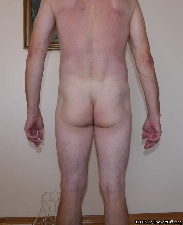 Adult image from 12HP21