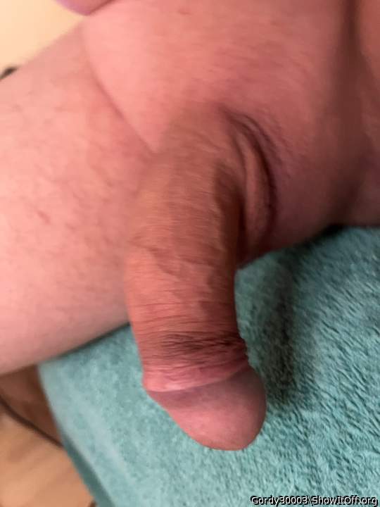 Adult image from Gordy30003