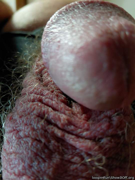 Adult image from looqin4fun