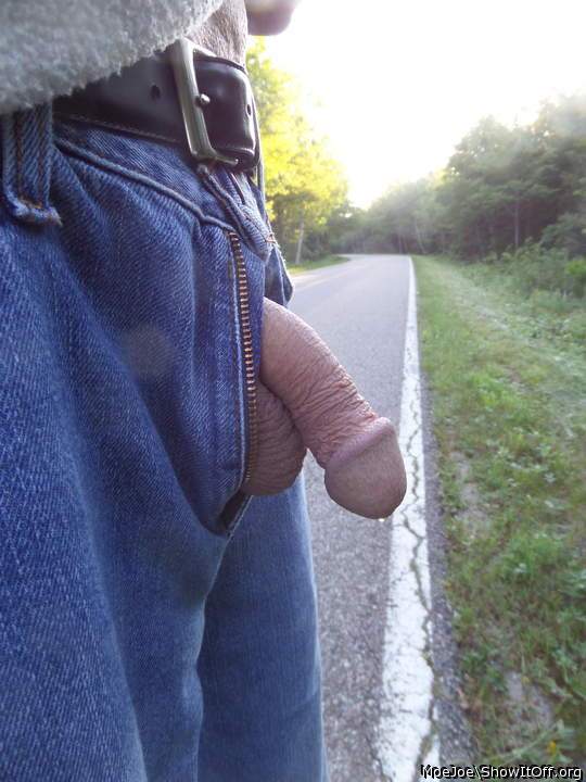 Roadside penis exposed.....