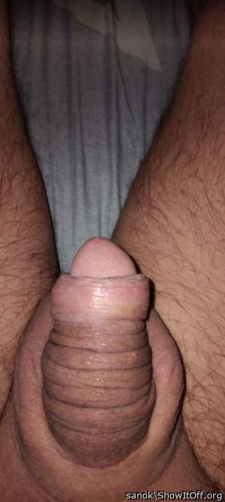 Penis