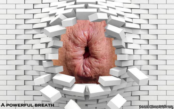 Adult image from Anass