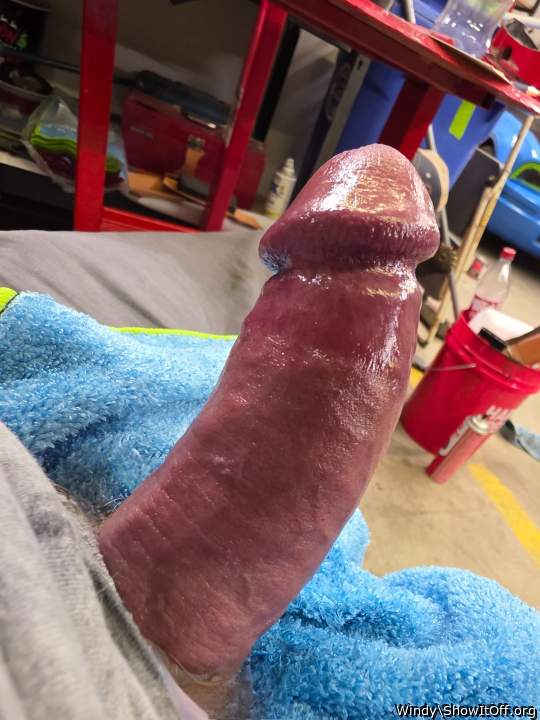 lovely stunning dick 