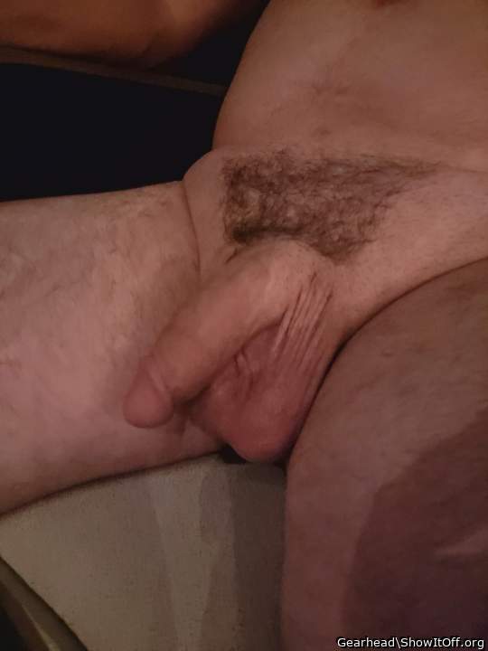 Adult image from Gearhead