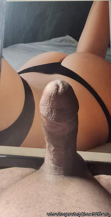 diddleking's bum