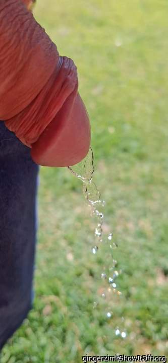 Adult image from gingerzim