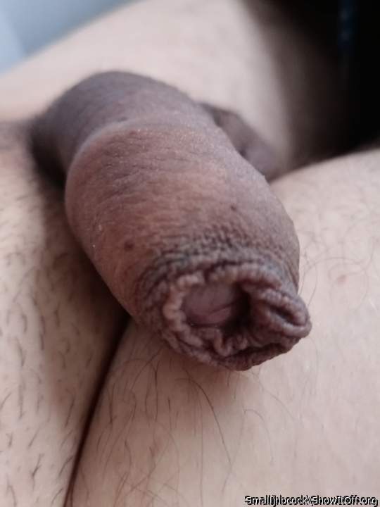 beautiful foreskin 