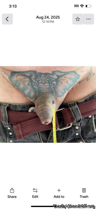 Adult image from Chadly