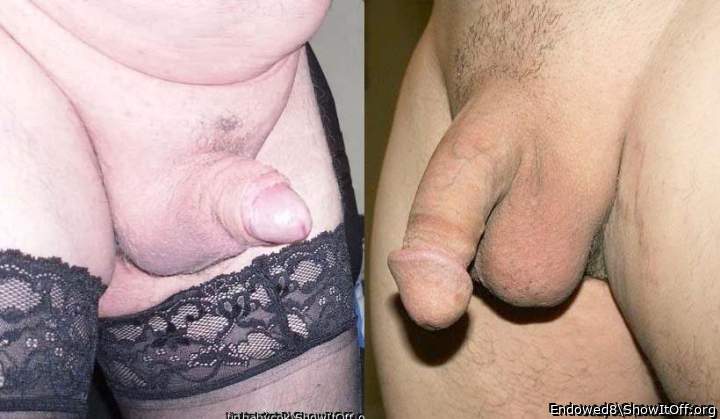 Adult image from Endowed8