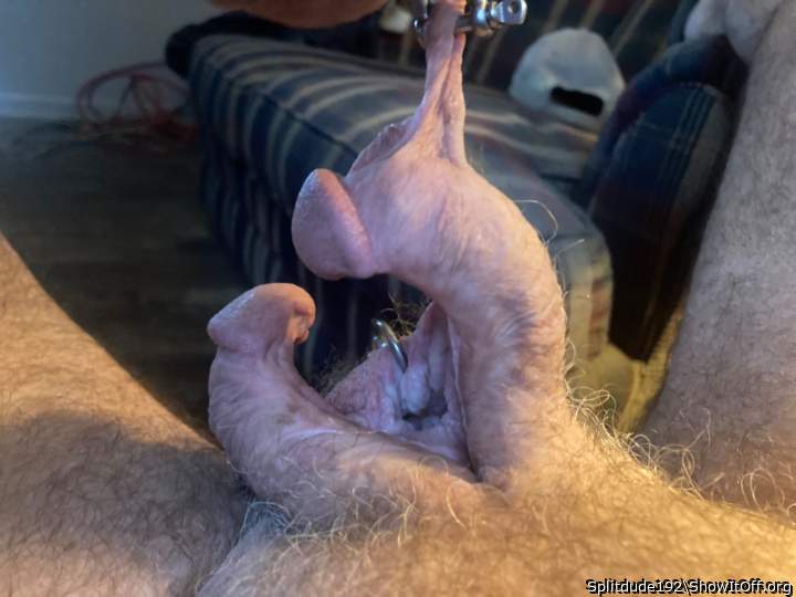 beautiful pubes leading to your awesome split Penis