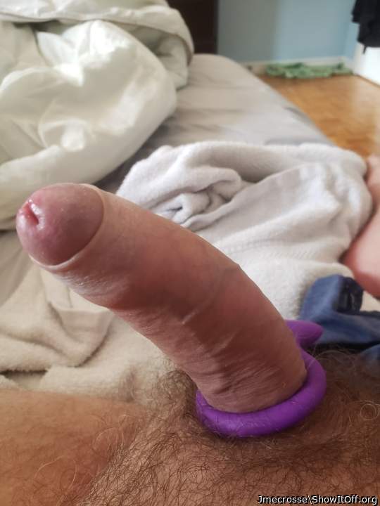 Adult image from Jmecrosse