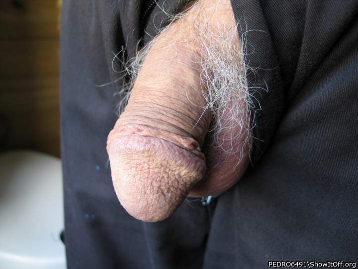 Adult image from PEDRO6491