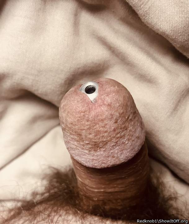 Adult image from Redknob1