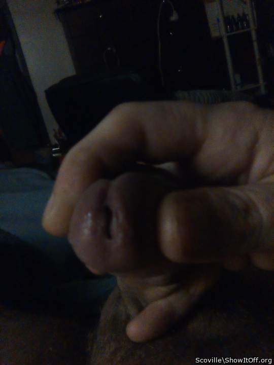 Adult image from Scoville