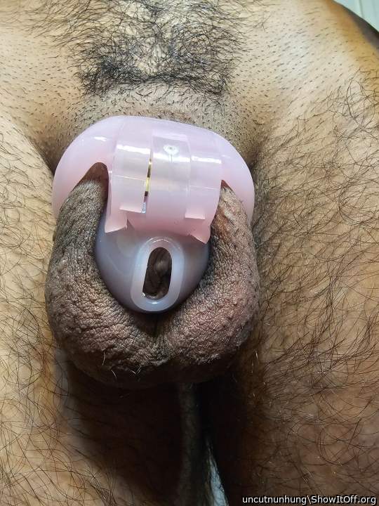 Wrinkly snout peeking out