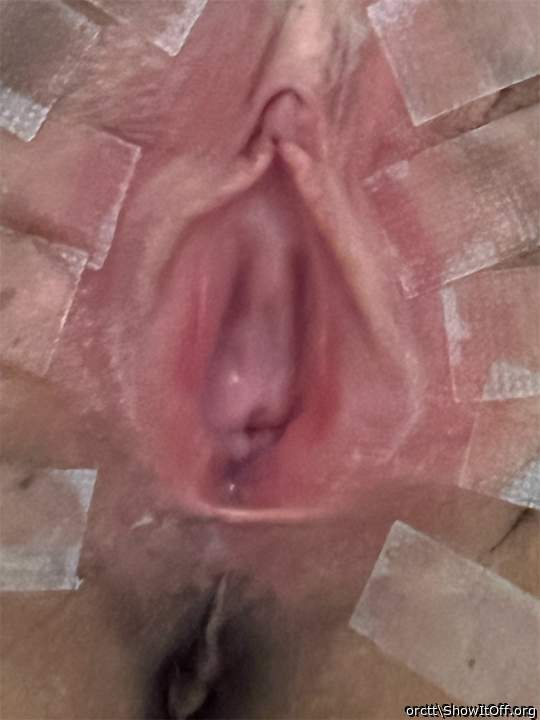 Adult image from orctt